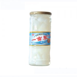 700g一亩泉椰果罐头