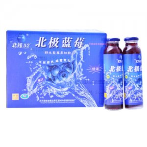 北纬52°野生北极蓝莓果干瓶装