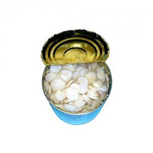 扬子江罐头食品-马蹄罐头(小)
