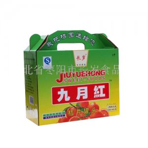 九月红桔片罐头