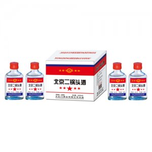 大红门永定河北京二锅头酒56°100ml×40清香型白酒