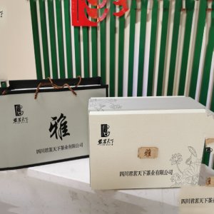 陆羽留香绿茶“雅”陶罐礼盒3