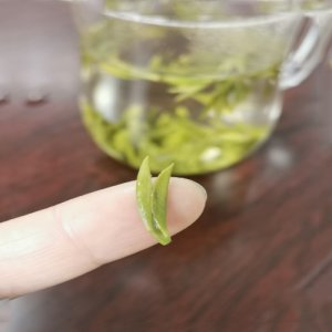 陆羽留香绿茶“尊”陶罐礼盒2