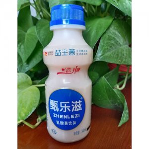 甄乐滋原味乳酸菌饮品340ml