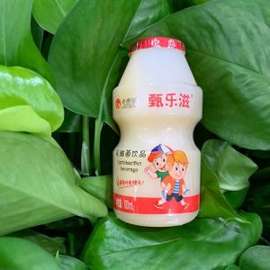 甄乐滋乳酸菌饮品100ml