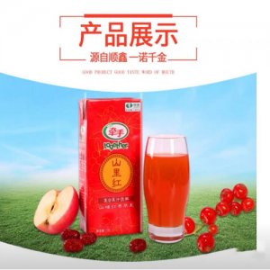 顺鑫牵手-1L50%果汁