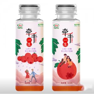 顺鑫牵手-300mIPET复合果汁饮料
