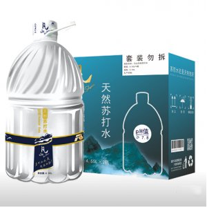 凡山天然苏打水4.55Lx2瓶装
