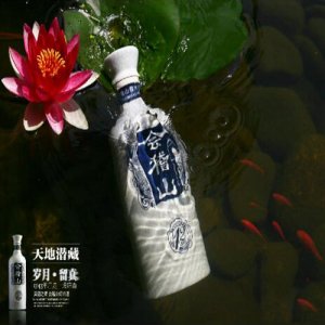会稽山纯和12年陈绍兴酒1