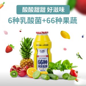 小样果蔬乳酸菌