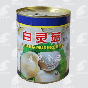 星光食品白灵菇罐头