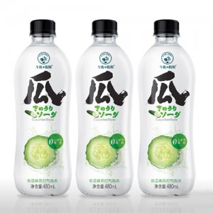 午后假期苏打气泡水480ml