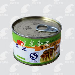 星光食品茶树菇罐头