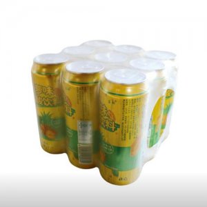 蓝翎菠萝饮料500mIX9听