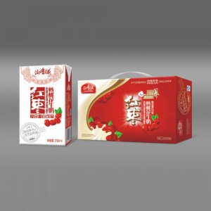 红枣核桃花生奶 标准装