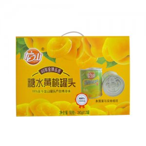 240g12罐 糖水黄桃罐头