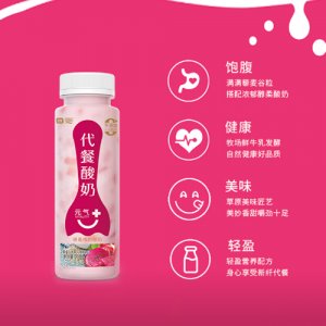 圣牧代餐酸奶(藜麦火龙果)