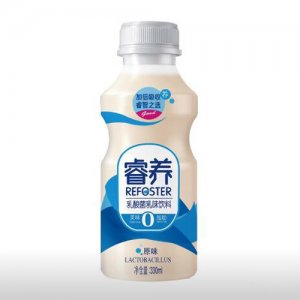 240ml乳酸菌