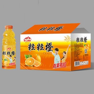亦云冰川粒粒橙水果饮料550ml×15瓶