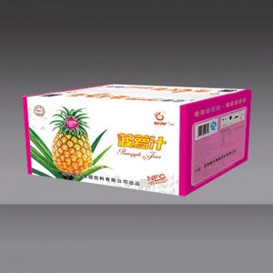 傣恋菠萝汁外箱