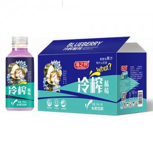 海之吟冷榨蓝莓水果饮料500ml×15瓶
