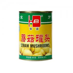 金华宾蘑菇罐头300g