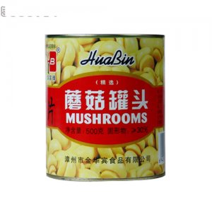 金华宾蘑菇罐头500g
