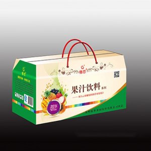 230x8傣恋果汁饮料系列