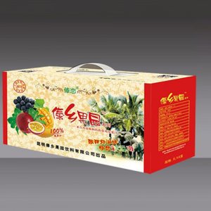 傣恋西双版纳热带鸡尾果汁