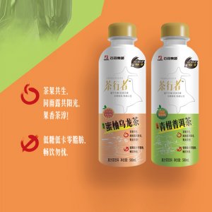 石药集团茶行者