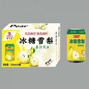 宝汁源冰糖雪梨梨汁汽水320mlx24罐