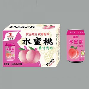 宝汁源水蜜桃桃汁汽水320mlx24罐