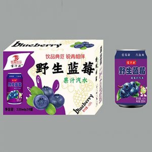 宝汁源野生蓝莓蓝莓汁汽水320mlx24罐