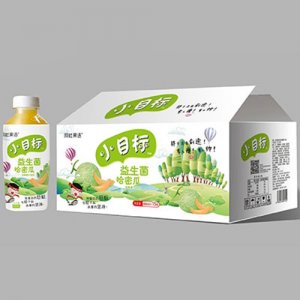 阿杜果语小目标益生菌哈密瓜汁480mlx15