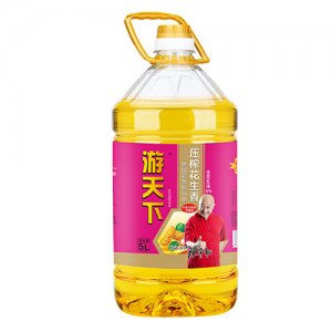 游天下压榨花生香食用植物调和油