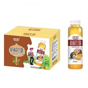 粒汁健杨枝甘露芒果复合果汁饮料380ml
