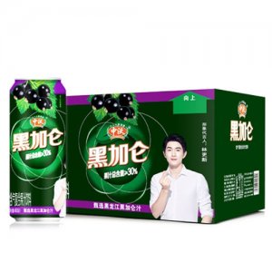 中沃黑加仑含气复合果汁饮料