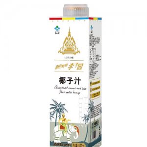 李子园复原椰子汁