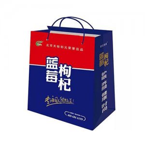 林泉绿色蓝莓枸杞手提