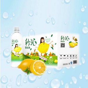 天地精华柠檬味果味水
