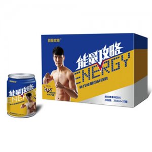 能量攻略维生素果味饮料250mlx20罐