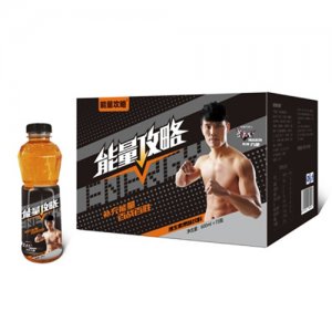 能量攻略维生素果味饮料600mlx15瓶