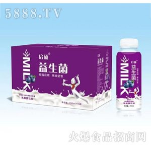 启硕益生菌奶昔乳酸菌饮品蓝莓味310ml15瓶