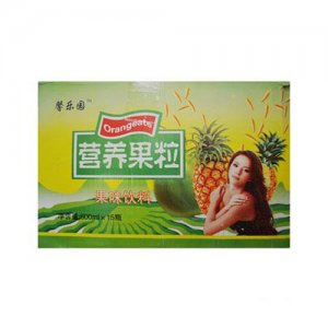 馨乐园营养果粒果味饮料600ml15瓶装