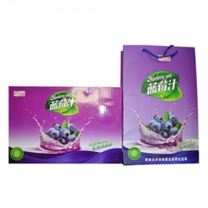 鲜汇美源蓝莓汁240ml16瓶盒装