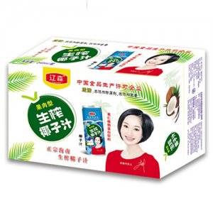 辽森果肉型生榨椰子汁箱子