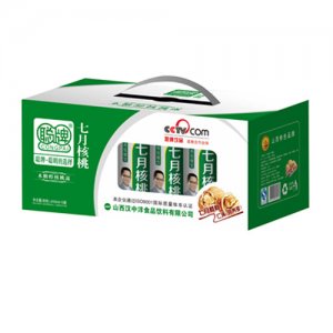 聪牌七月核桃植物蛋白饮料绿箱