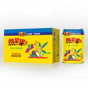 聪牌芒果山竹复合果汁箱