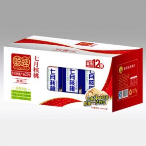 聪牌七月核桃多果多益240ml10罐