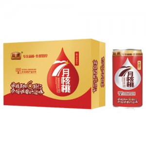 聪牌7月核桃植物蛋白饮料箱装